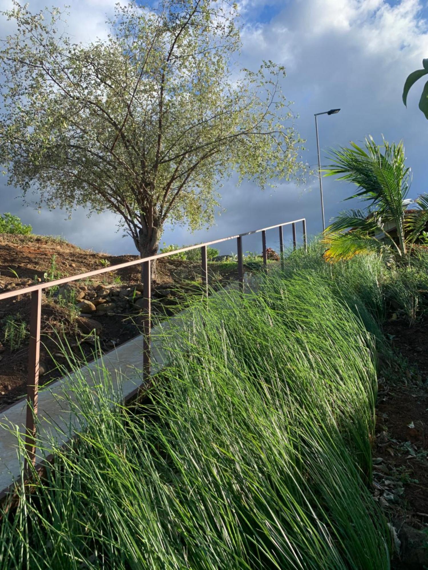 Conectar Con La Naturaleza Esparza エクステリア 写真